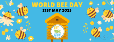 World Bee Day 21st May 2025 – Beehive Tour