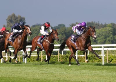 A Night at the Races