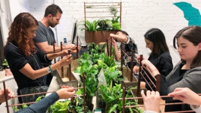 World Environment Month: Indoor Jungle & Herb Garden Plant Workshop